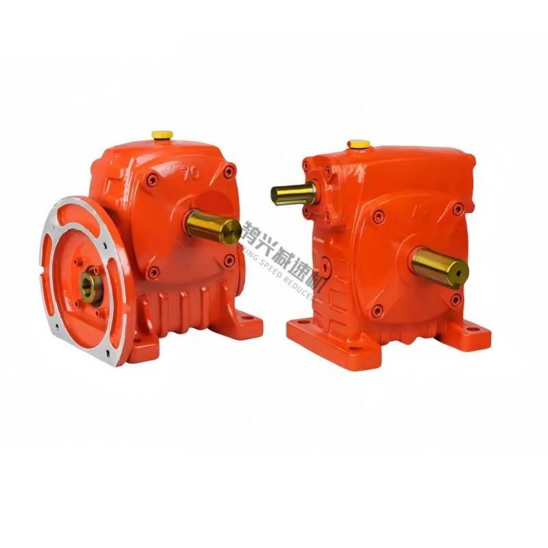 WP 100 cast iron worm gear reducer