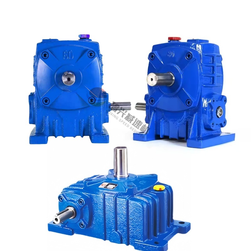 Cast iron housing worm gear reducer