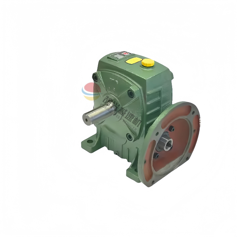 WP worm reducer with input flange