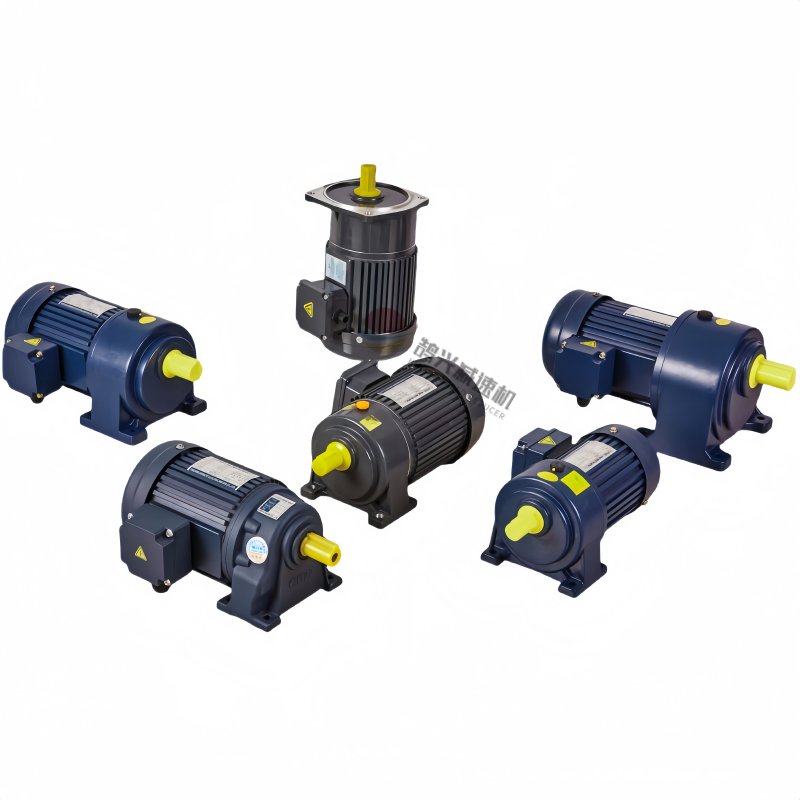 Three phase induction gear motor Three phase induction gear motor