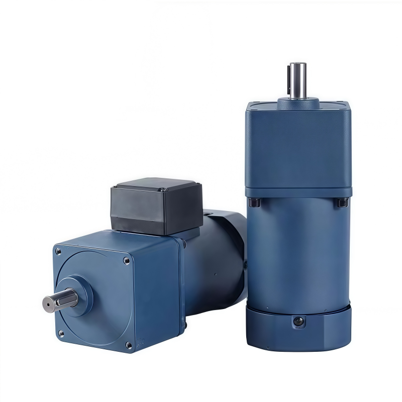 Miniature gear motor