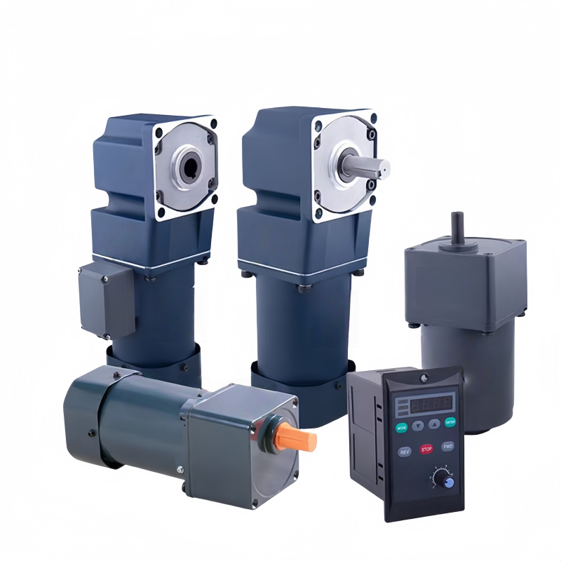 Low speed high torque miniature gear motor Low speed high torque miniature gear motor