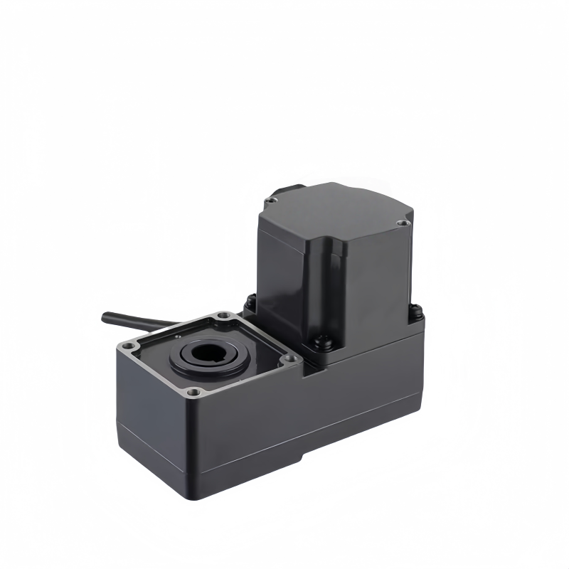 Brush miniature gear motor Brush miniature gear motor