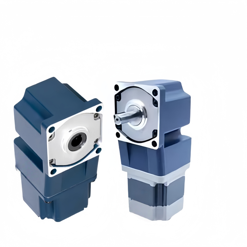 Flange mounting micro gear motor Flange mounting micro gear motor