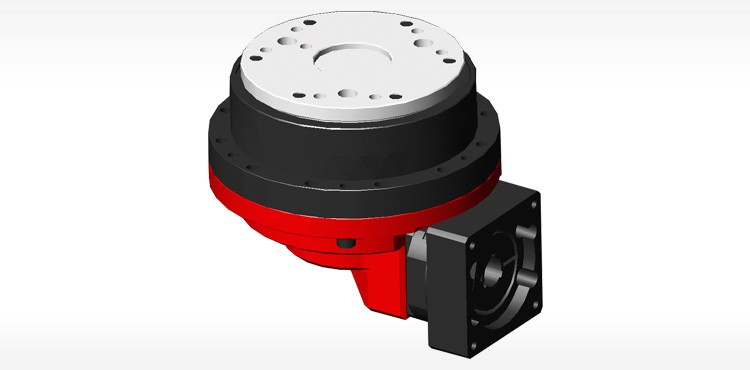 Hollow shaft RV joint reducer