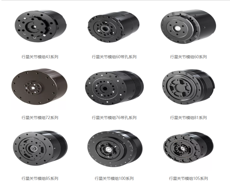 RV cycloidal robot joint reducer