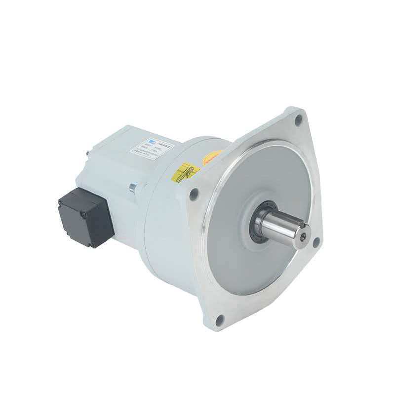 DC gear motor