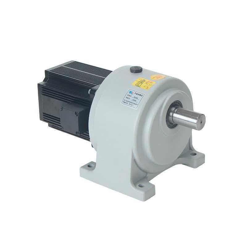 Servo gear motor