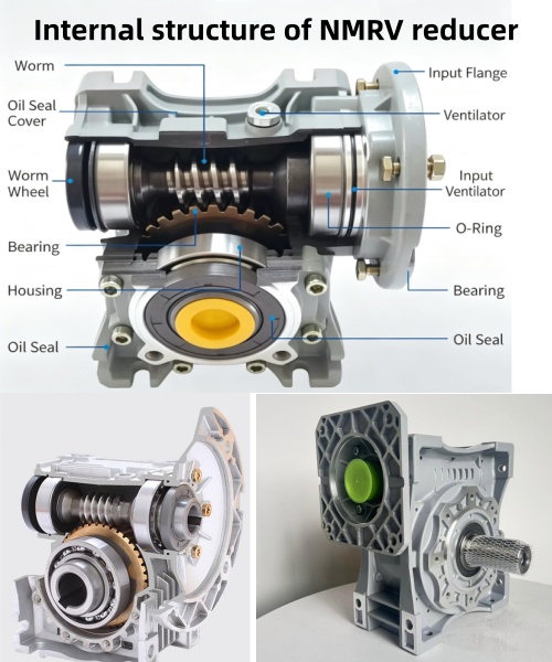 Internal structure of NMRV reducer.jpg Internal structure of NMRV reducer.jpg