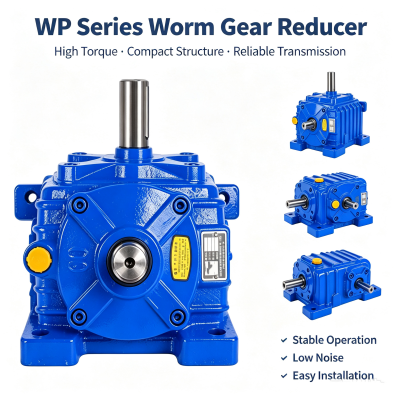 WP turbine worm gear reducer.png