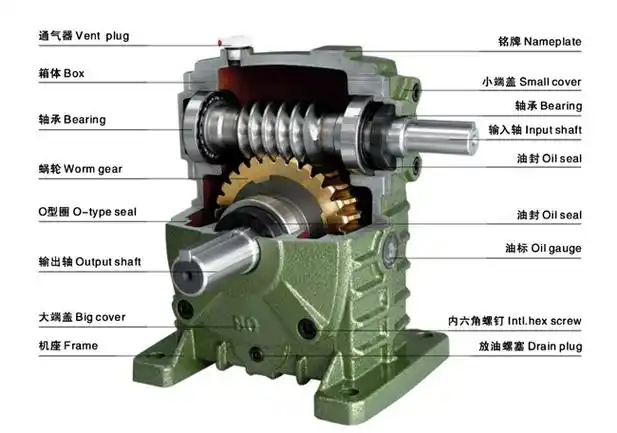 Structural diagram of WP worm gear reducer