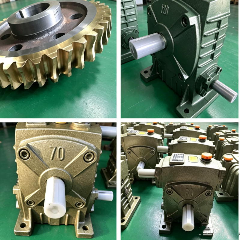 Wp Worm Gear Speed Reducer.png Wp Worm Gear Speed Reducer.png