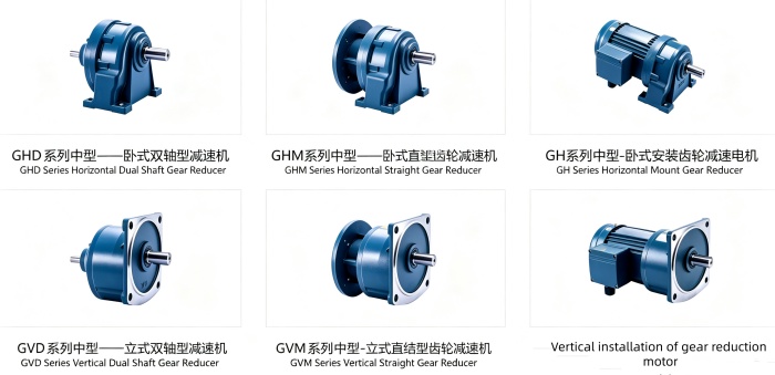 Vertical installation of gear reduction motor Vertical installation of gear reduction motor