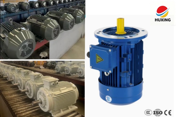 Three phase industrial motor