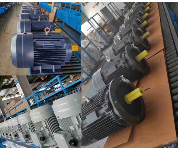 Dc Electric Motor