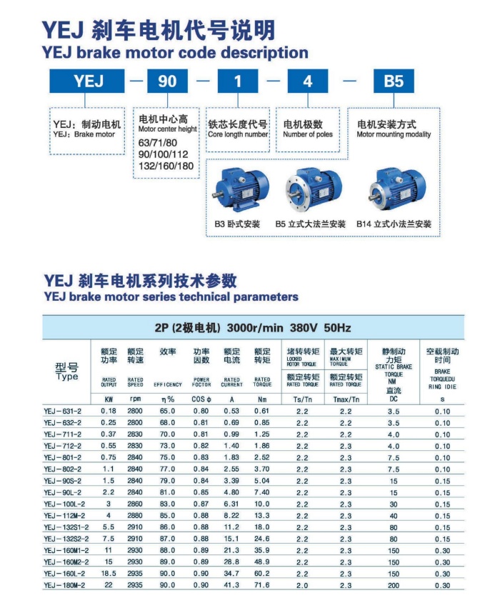 Electric Gear Motor